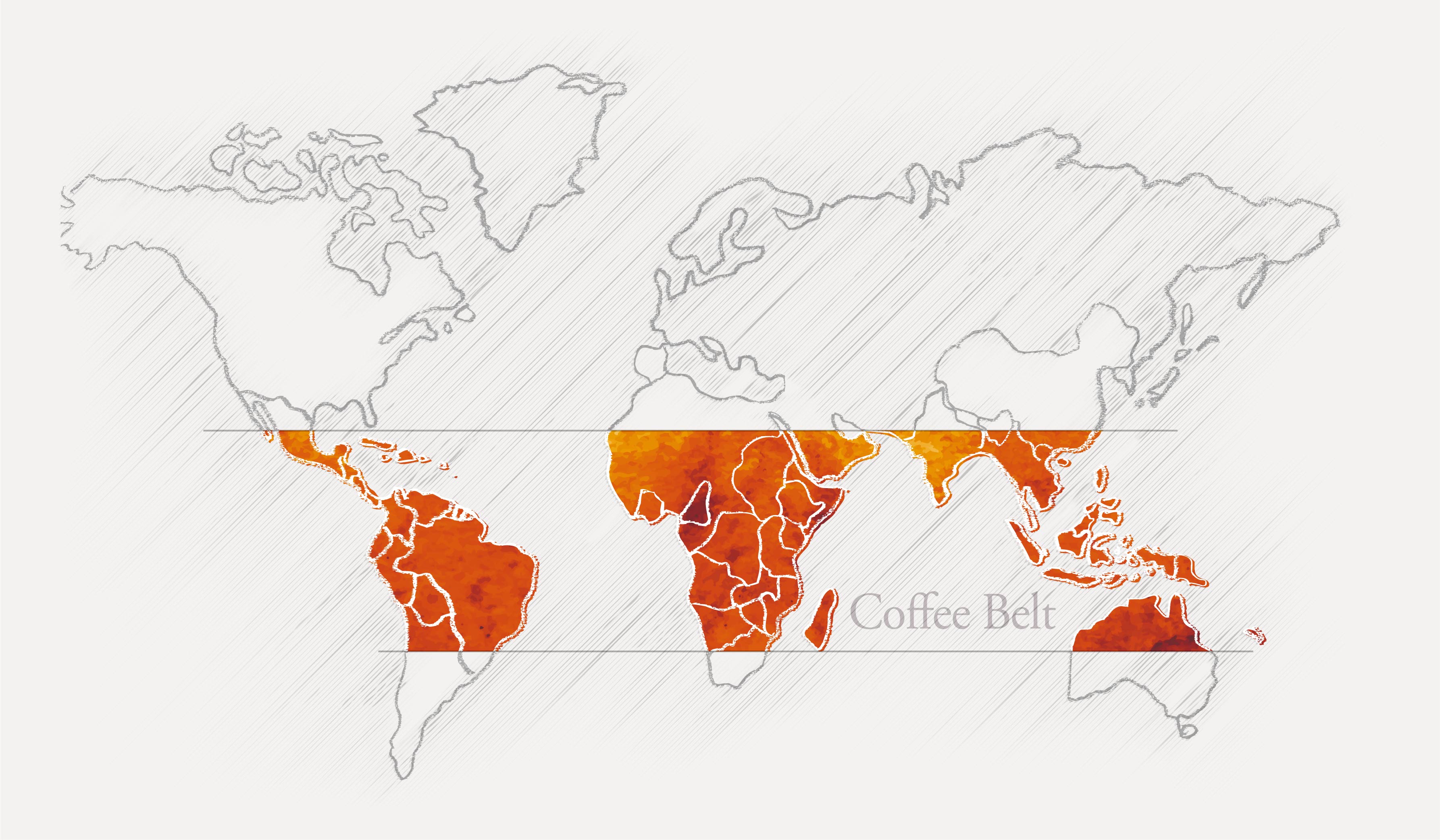 精品咖啡的「基本教義」3/6 – 咖啡生豆名詞釋疑（後製處理法）
