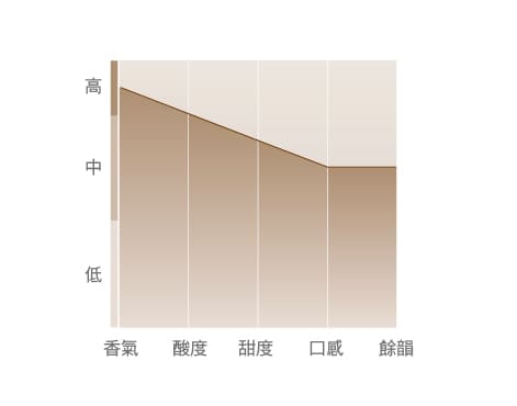 湛盧咖啡行家系列 黃金印象咖啡豆