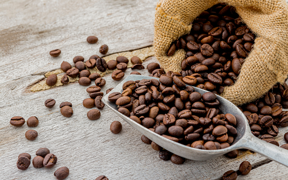 了解養豆是什麼，幫助你煮出好喝咖啡