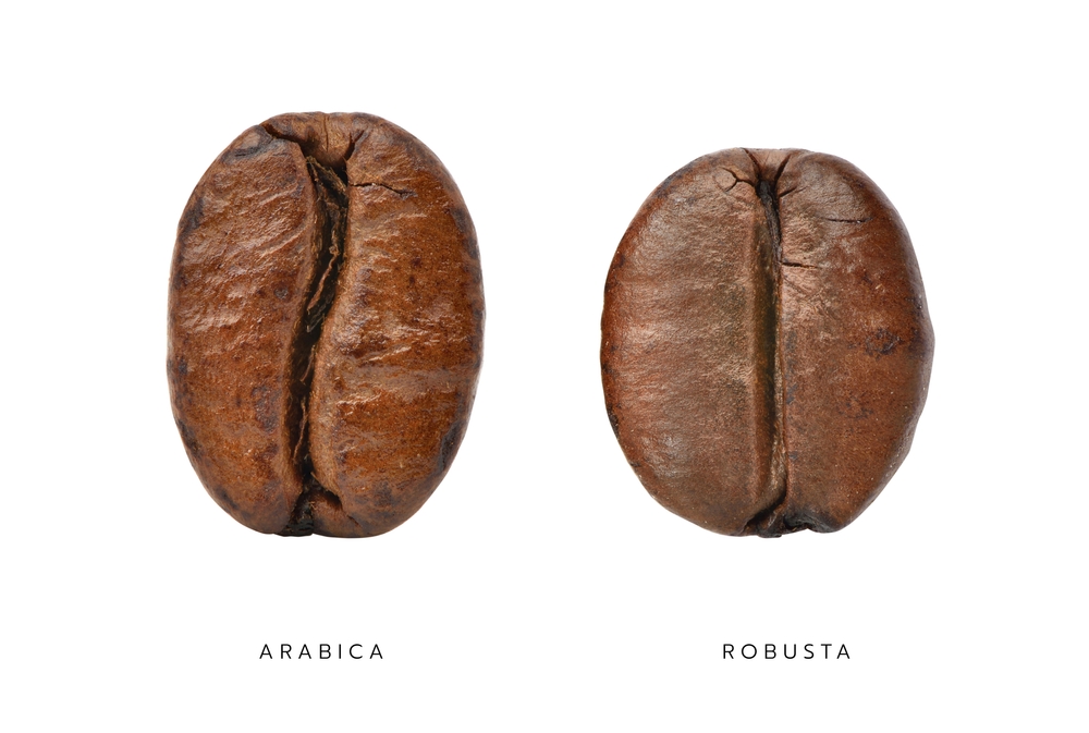 咖啡豆種類差異比較