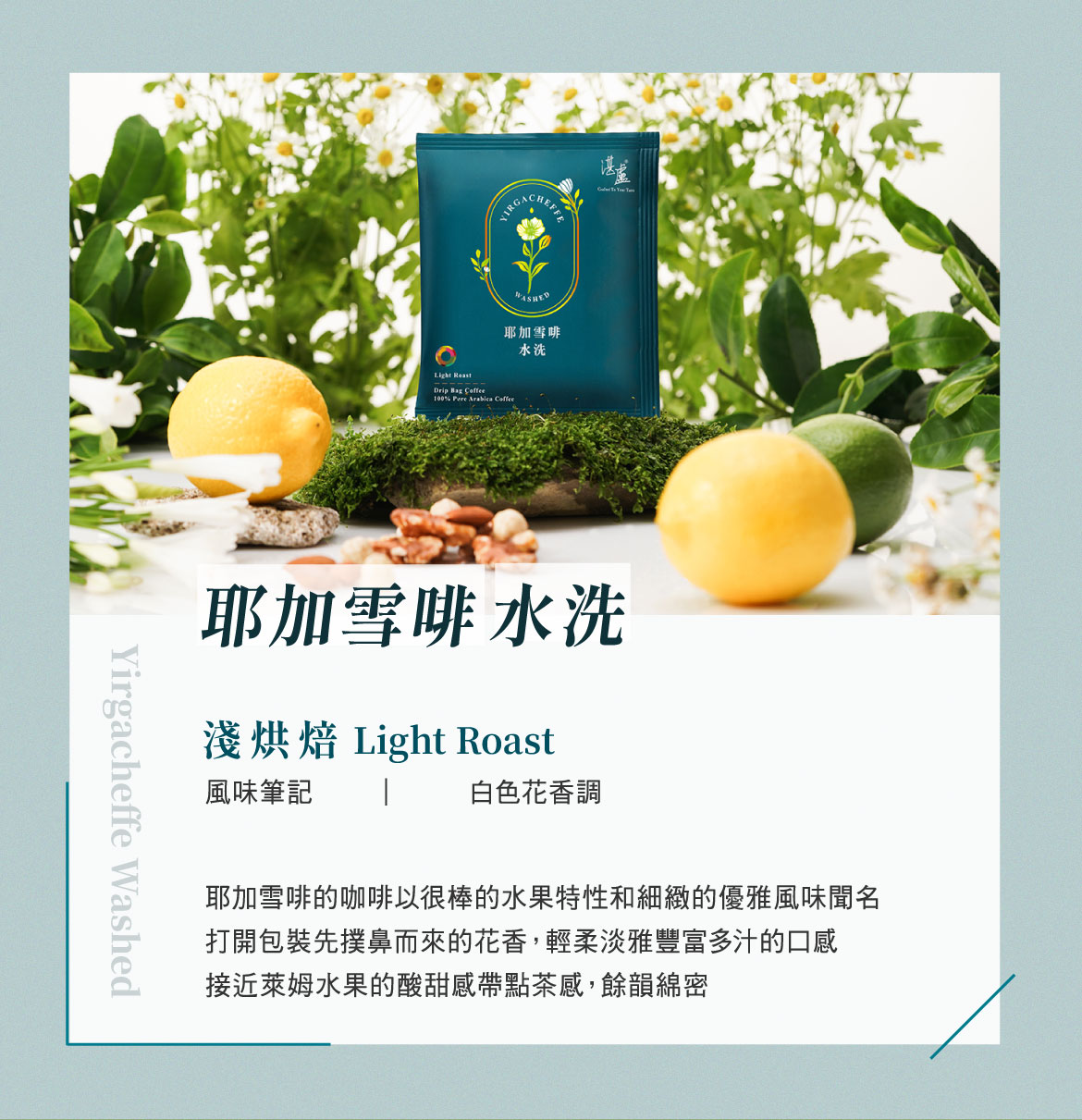 湛盧濾掛咖啡推薦3：耶加雪啡 水洗 淺烘焙