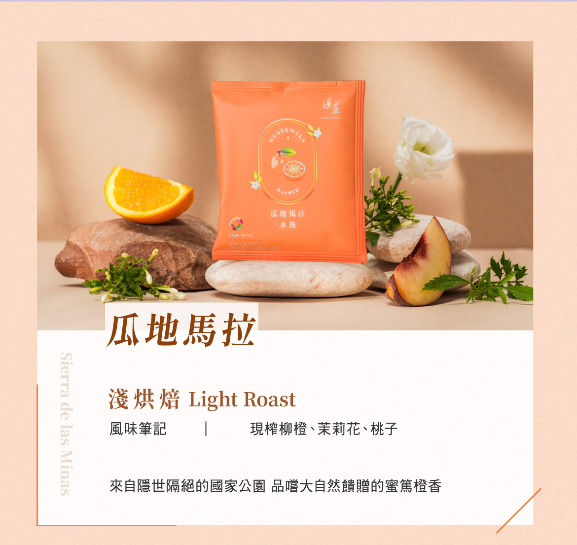 湛盧濾掛咖啡推薦4：瓜地馬拉 淺烘焙