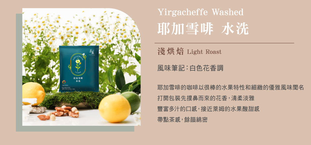 湛盧濾掛咖啡推薦3：耶加雪啡 水洗 淺烘焙