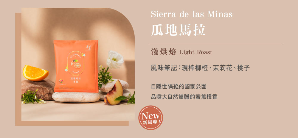 湛盧濾掛咖啡推薦4：瓜地馬拉 淺烘焙